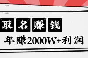 王通：不要小瞧任何一个小领域，取名技能也能快速赚钱，年赚2000W+利润