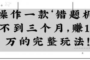 操作一款‘错题机’不到三个月，赚15万的完整玩法！【视频教程】