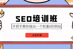 SEO培训班课程，手把手教你做出一个权重6的例站，价值8000元