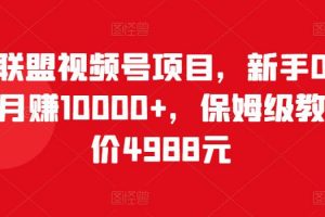 猎人联盟视频号项目，新手0基础轻松月赚10000+，保姆级教程原价4988元