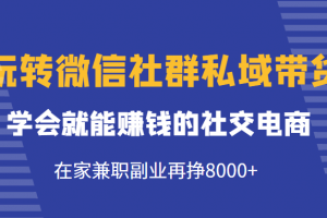 玩转微信社群私域带货，学会就能赚钱的社交电商，在家兼职副业再挣8000+