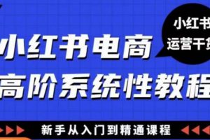 小红书电商高阶系统教程，新手从入门到精通系统课