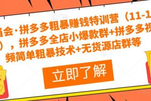 叮当会·拼多多粗暴赚钱特训营（11-19期），拼多多全店小爆款群+拼多多视频简单粗暴技术+无货源店群等