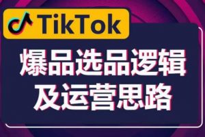 TikTok爆品选品逻辑及运营思路：解决网络环境快速入门TikTok