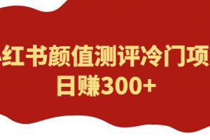 外面1980的项目，小红书颜值测评冷门项目，日赚300+【揭秘】