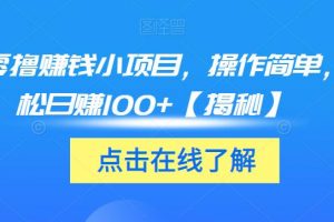 3个零撸赚钱小项目，操作简单，轻松日赚100+【揭秘】