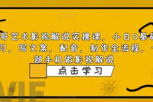 方哥艺术影视解说实操课，小白0基础学习，写文案，配音，制作全流程，一部手机做影视解说