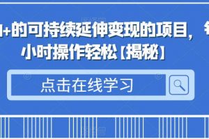 日入500+的可持续延伸变现的项目，每天2小时操作轻松【揭秘】