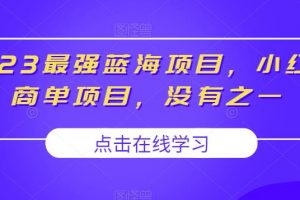 2023最强蓝海项目，小红书商单项目，没有之一【揭秘】