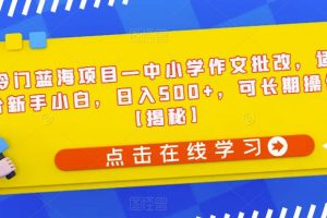 冷门蓝海项目—中小学作文批改，适合新手小白，日入500+，可长期操作【揭秘】