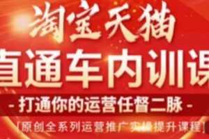 天问电商·2023淘宝天猫直通车内训课，零基础学起直通车运营实操课程