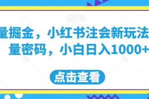 流量掘金，小红书注会新玩法，流量密码，小白日入1000+【揭秘】