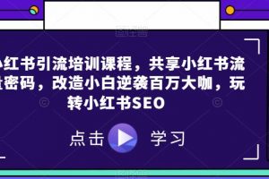 小红书引流培训课程，共享小红书流量密码，改造小白逆袭百万大咖，玩转小红书SEO