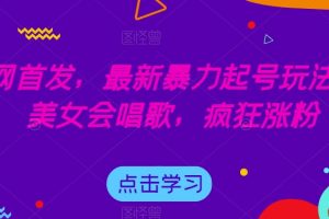 全网首发，最新暴力起号玩法，AI美女会唱歌，疯狂涨粉【揭秘】