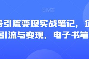 视频号引流变现实战笔记，企业抖音引流与变现，电子书笔记