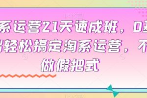 淘系运营21天速成班，0基础轻松搞定淘系运营，不做假把式