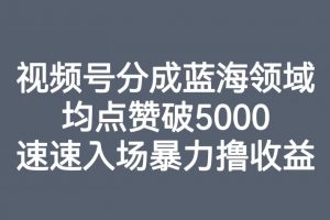 视频号分成蓝海领域，均点赞破5000，速速入场暴力撸收益