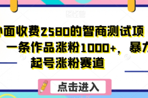 外面收费2580的智商测试项目，一条作品涨粉1000+，暴力起号涨粉赛道【揭秘】