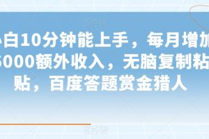 小白10分钟能上手，每月增加6000额外收入，无脑复制粘贴‌，百度答题赏金猎人【揭秘】