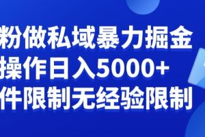 负债粉私域暴力掘金，小白操作入5000，无经验限制，无条件限制【揭秘】