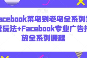 Facebook菜鸟到老鸟全系列运营玩法+Facebook专业广告投放全系列课程