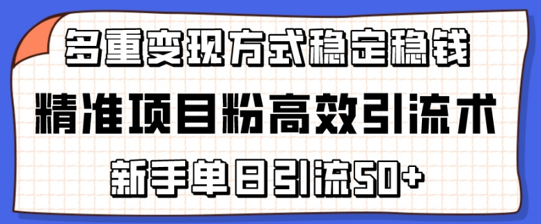 精准项目粉高效引流术，新手单日引流50+，多重变现方式稳定赚钱【揭秘】