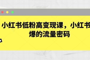 小红书低粉高变现课，小红书必爆的流量密码