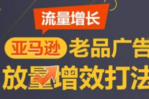 亚马逊流量增长-老品广告放量增效打法，循序渐进，打造更多TOP listing