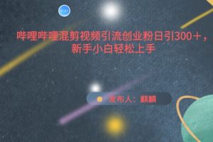 哔哩哔哩混剪视频引流创业粉日引300+，新手小白轻松上手【揭秘】