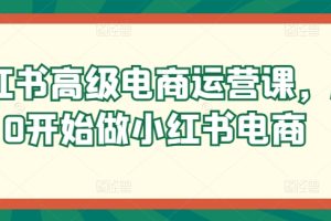 小红书高级电商运营课，从0开始做小红书电商