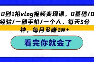 从0到1拍vlog视频变现课，0基础/0经验/一部手机/一个人，每天5分钟，每月多赚1W+