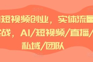 AI短视频创业，实体流量实战，AI/短视频/直播/私域/团队