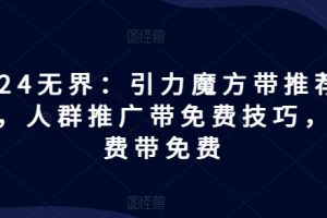 2024无界：引力魔方带推荐玩法，人群推广带免费技巧，付费带免费