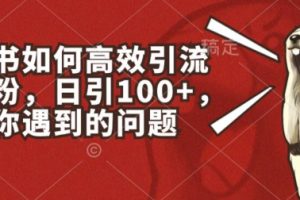 小红书如何高效引流创业粉，日引100+，解决你遇到的问题【揭秘】