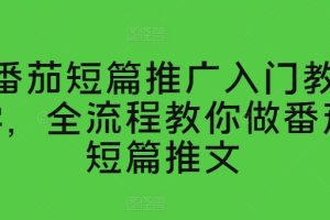 番茄短篇推广入门教学，全流程教你做番茄短篇推文