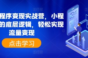 抖音小程序变现实战营，小程序变现的底层逻辑，轻松实现流量变现